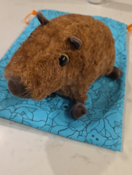 Jellycat Other - Jellycat London Clyde Capybara